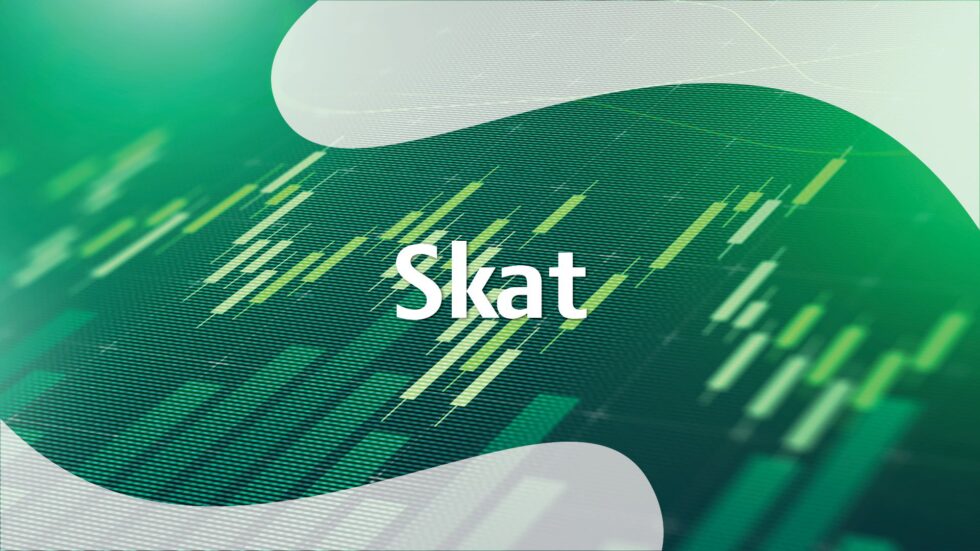 xl-166.jpg Aktiver - skat - Billede 1