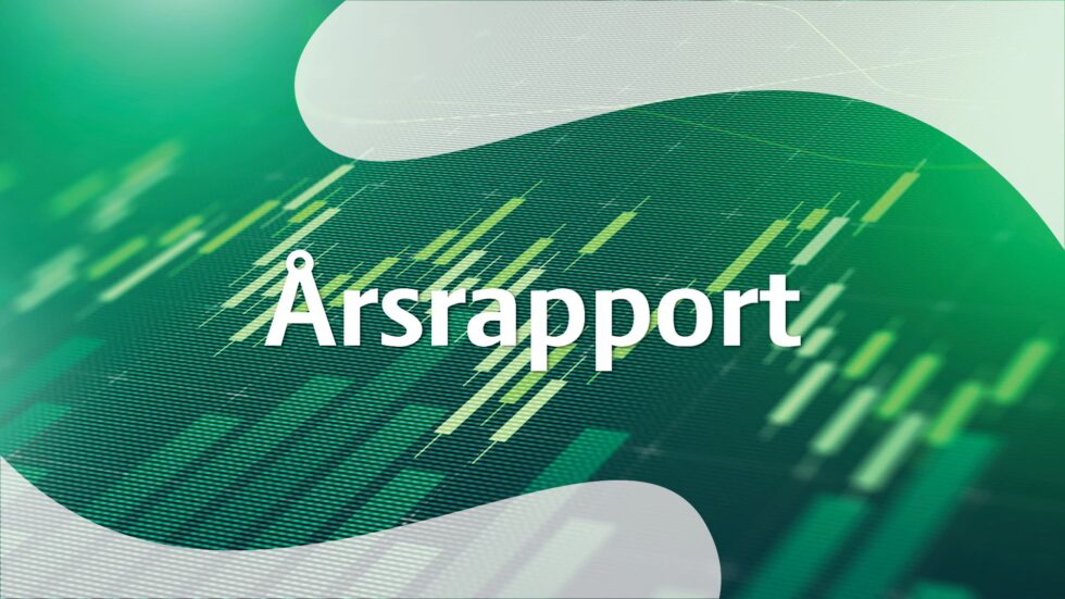 xl-167.jpg Aktiver - årsrapport - Billede 1