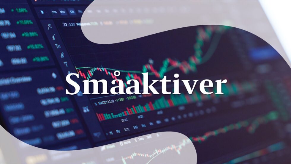 xl-175.jpg Småaktiver, investeringer - Billede 1